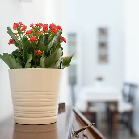 Apartment With One Bedroom In Roma, With Wifi *